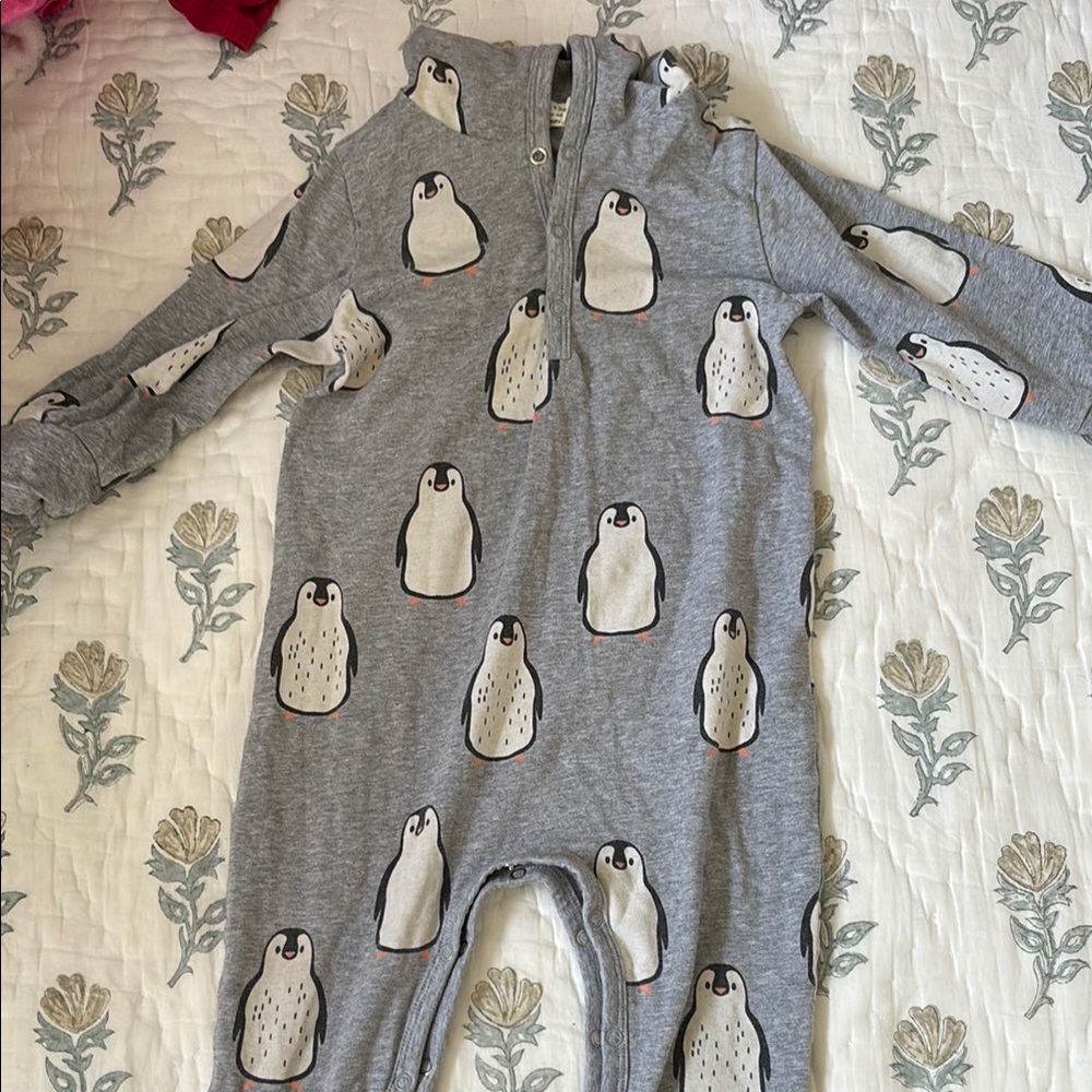 Charming Gray Penguin Kids Footie